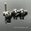 stainless steel concrete mechanical anchor bolt